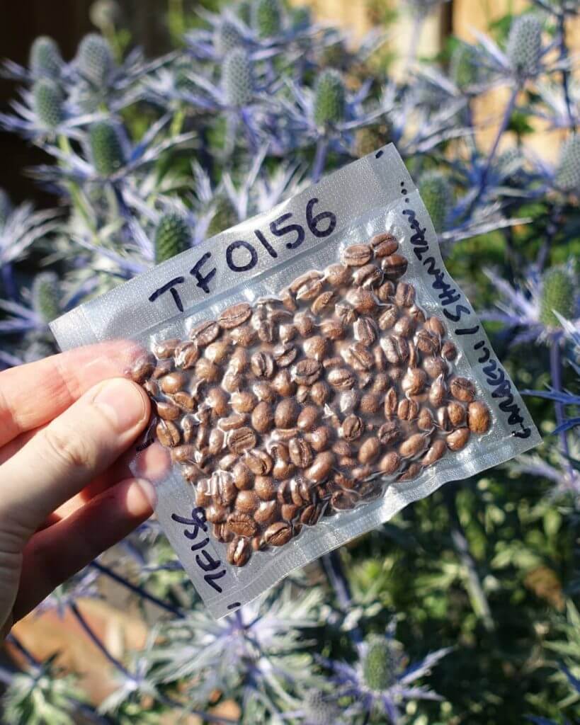 Freezing Kopi Apakah Boleh? Do or Donts?