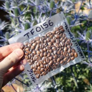 Kopi Robusta 250g