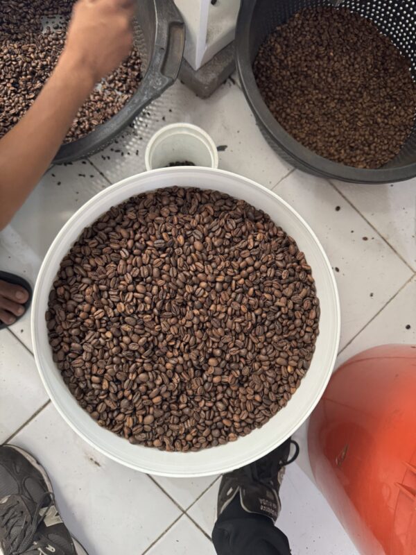 Bali Coffee Beans - Whole Beans