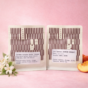 Bundle Geisha Exotic Los Santos- Carmen