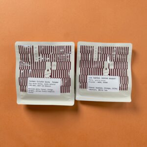 Bundle Geisha Exotic Los Santos- Carmen