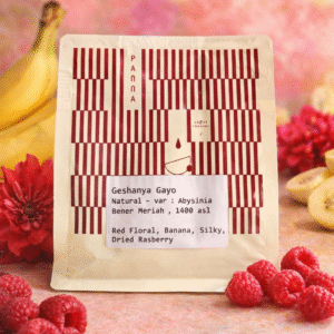 King Gayo - Geishanya Gayo - Abysinia Natural